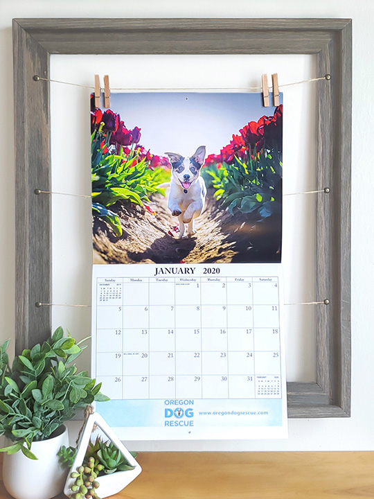 Pictorial Calendar
